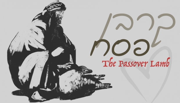 Passover Lamb