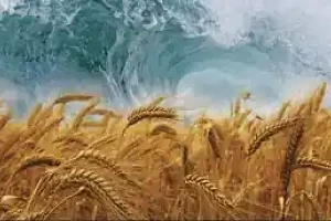 Counting of the Omer