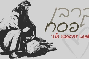 Passover Lamb